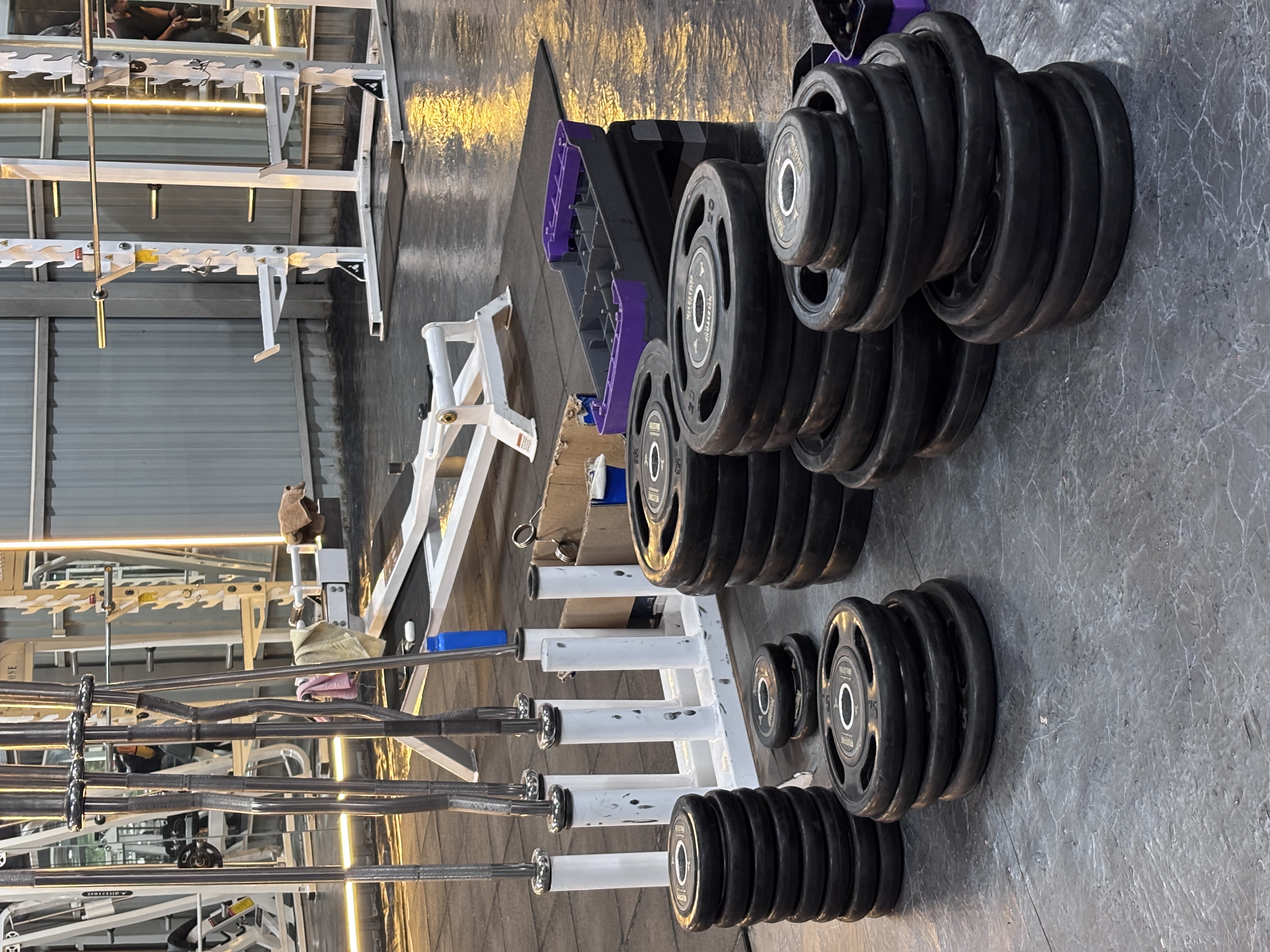 Muscle Pro Fitness Gym Image